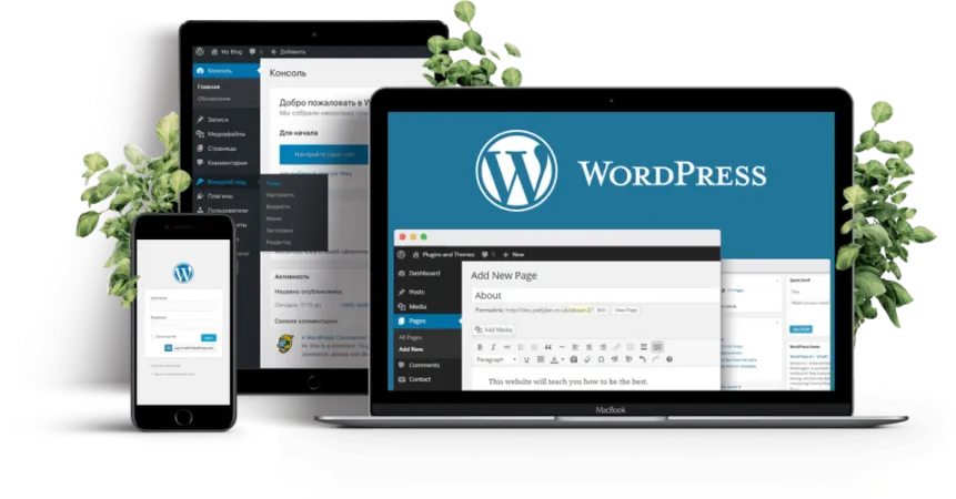 Cоздание сайта на WordPress