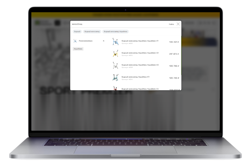 Интеграция «Умного поиска» для сайта с широкой номенклатурой